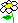 -daisy-