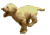-207-